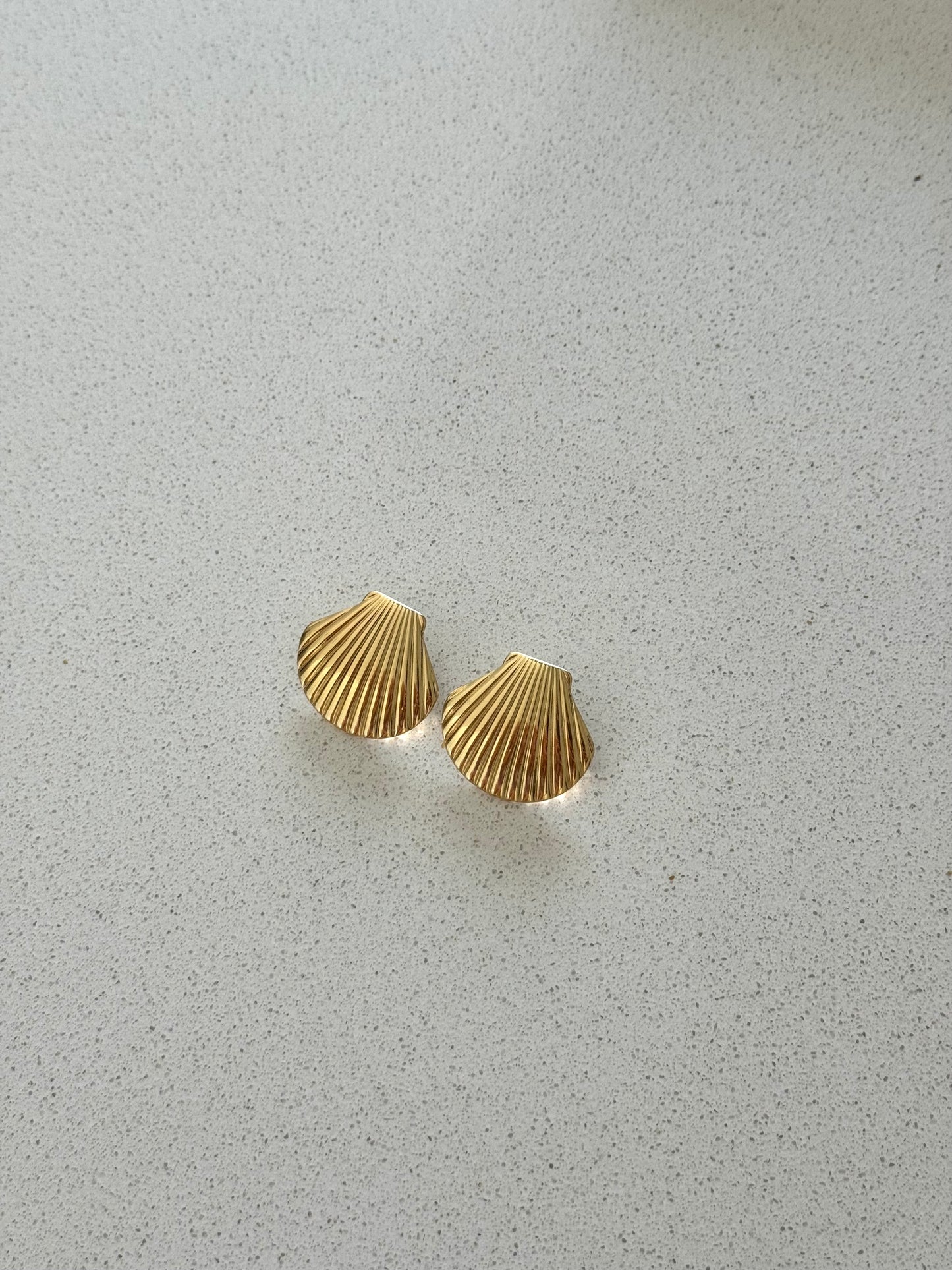 Brincos Shell
