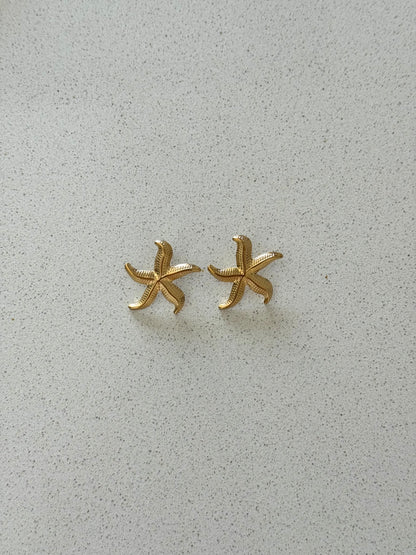 Brincos Starfish