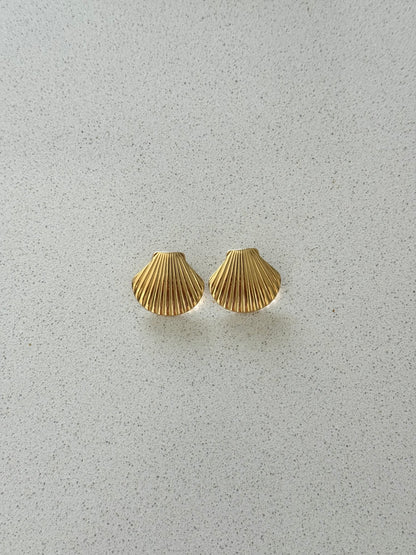 Brincos Shell