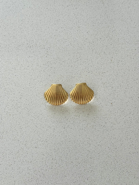 Brincos Shell