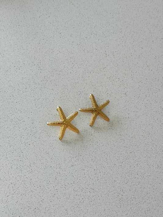 Brincos Golden Star